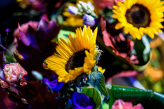 WiechnikMarcin_2022-08-27_FIO-269