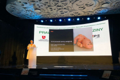 286345073_704357297453091_5051679901609999405_n