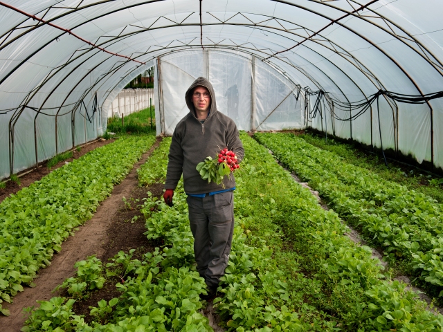 Zdrowa i naturalna żywność z Zakładu Aktywności Zawodowej w Borowej Wsi