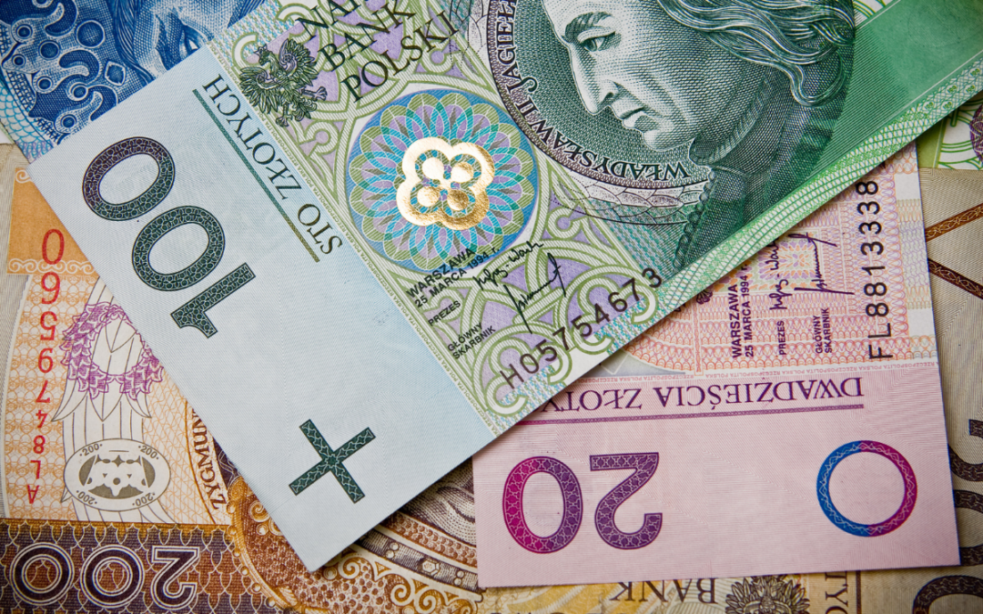 Oglądaj dziś! Małe granty i inne uproszczone formy zlecania zadań NGO-som. Zapraszamy na lajw ngo.pl! Strat godzina 13.00!