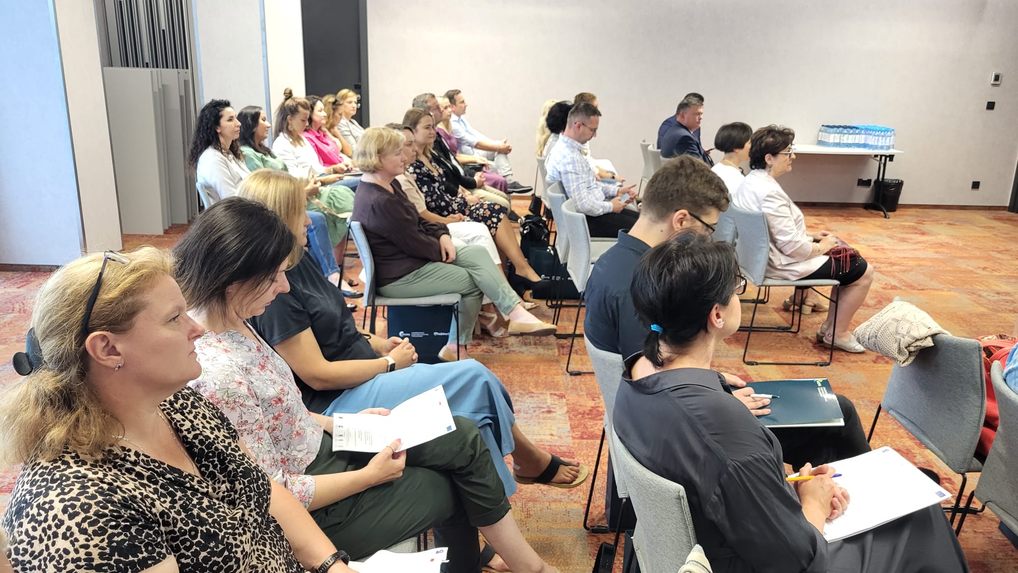 DWUDNIOWE SZKOLENIE WARSZTATOWE PODNOSZĄCE WIEDZĘ Z ZAKRESU PROCESU DEINSTYTUCJONALIZACJI I ROLI ROPS W JEGO WDRAŻANIU. 