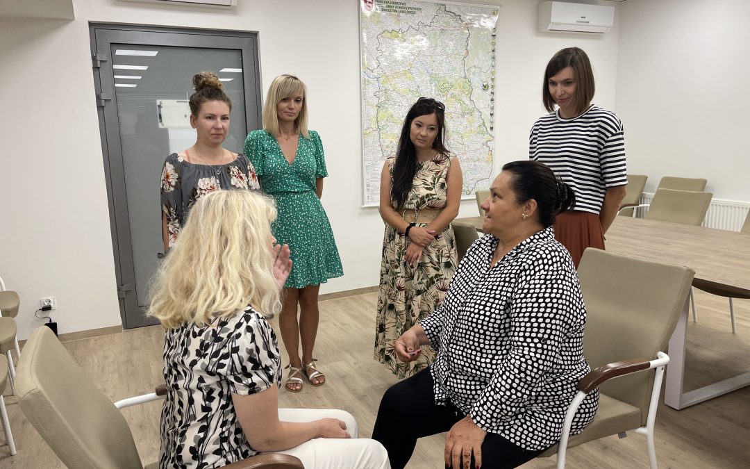 Relacja z superwizji oraz szkolenia pt.: „Pierwszorzędowe i drugorzędowe anomalie w budowie u dzieci z FASD” zespołu Regionalnego Punktu Diagnozy i Terapii FAS/FASD w Lublinie w dniu 13 września 2023 r.